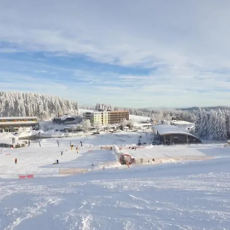 Berggipfel Am * Feldberg (Baden-Wurttemberg)