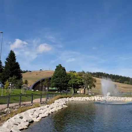 Berggipfel Am Feldberg (Baden-Wurttemberg)